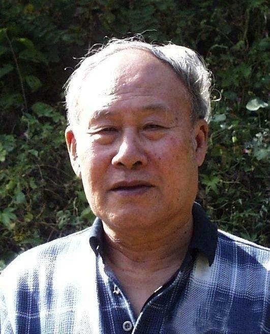 荐书丨小英雄雨来_李大叔_军区_冀东