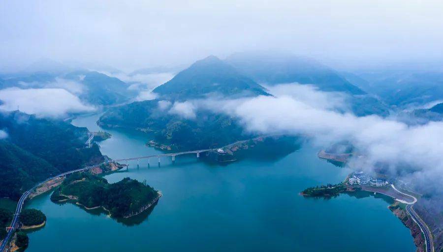 大片来啦森林龙游美不胜收