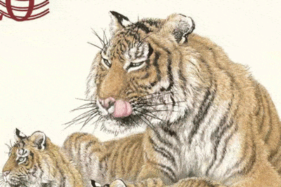 生肖|早鸟价，限量发售！虎年该入手的一份重磅年礼，你见过没