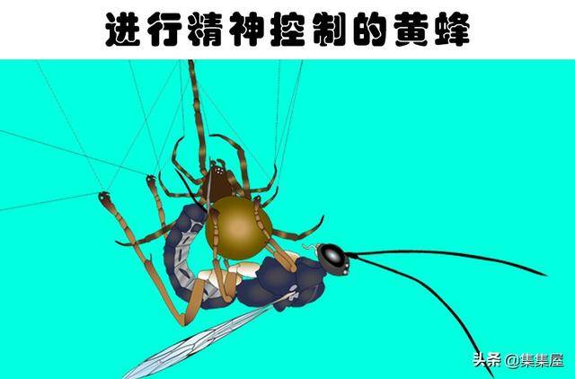 c37848070086469ba3174427391a3ab0.jpeg