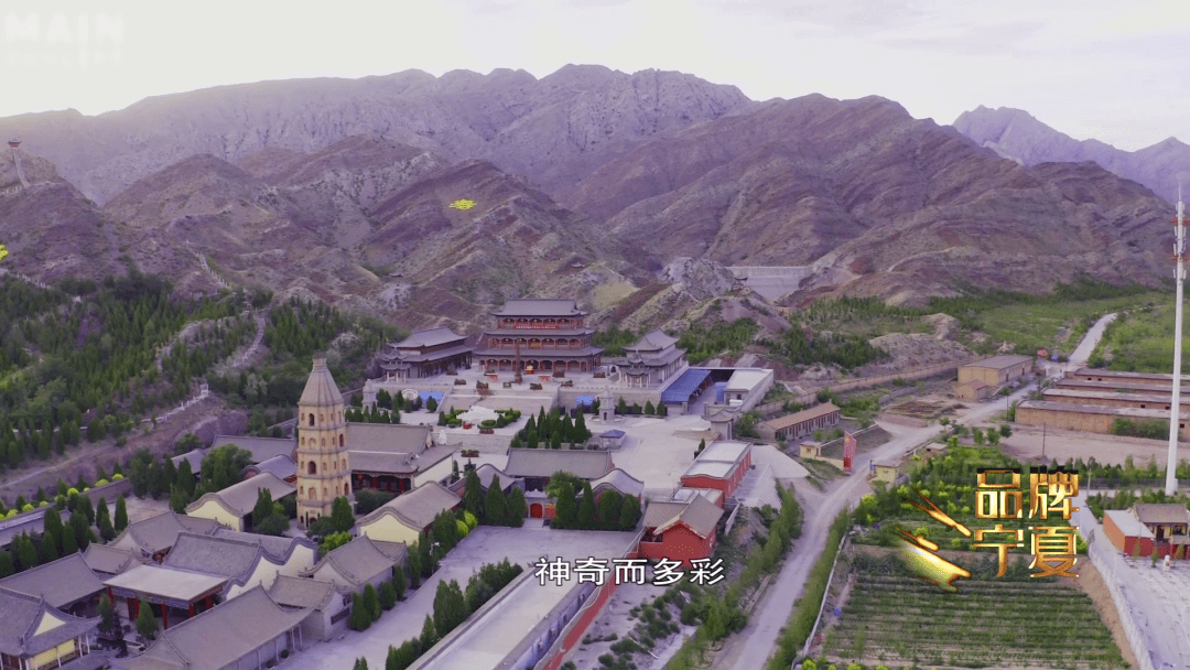 候鸟|当煤城变为美城 快来畅游石嘴山