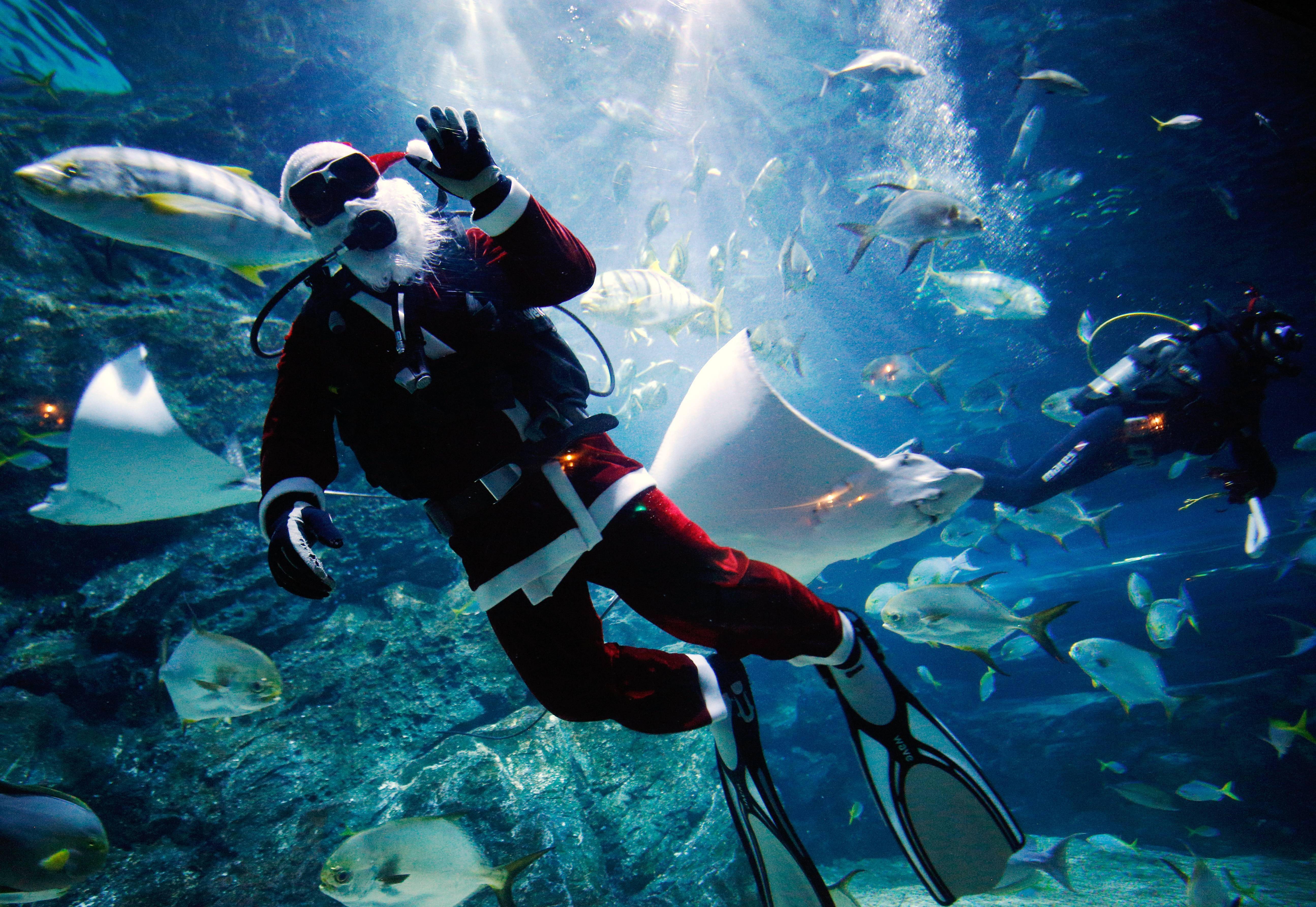 水族馆壁纸图片