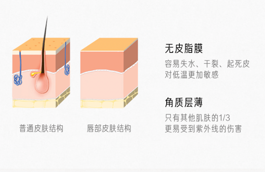 双唇100多块钱能买到什么惊为天人的眼唇护理？