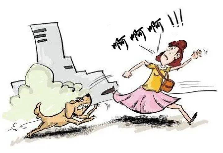 我家狗不咬人结果