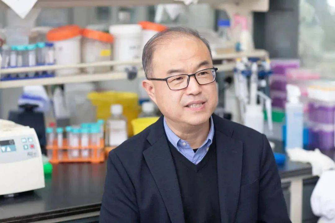 疗法|重磅！首个国产新冠救命药，来自这家冷门公司