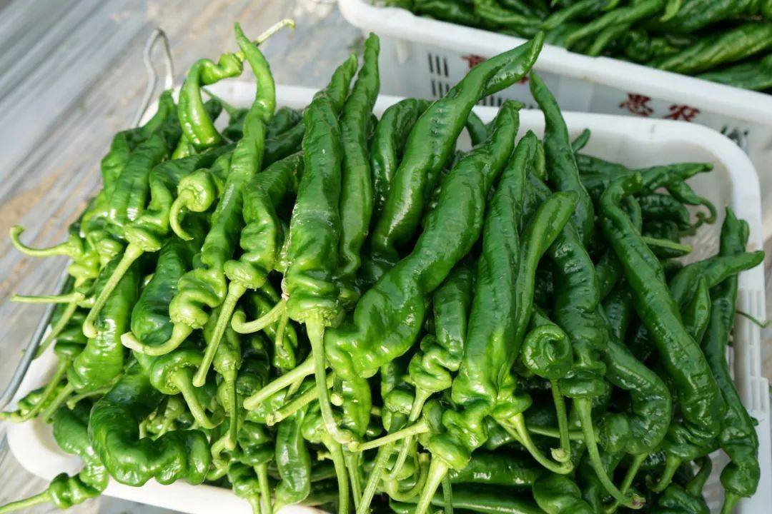 榕江车江坝区螺丝椒俏市场