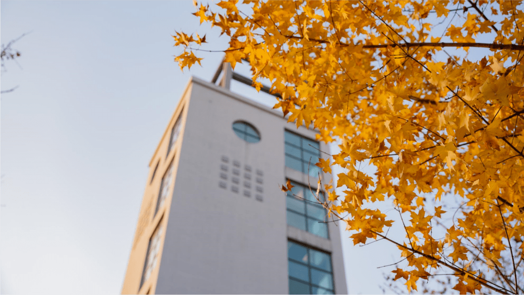 校园印象秋遇南京晓庄学院