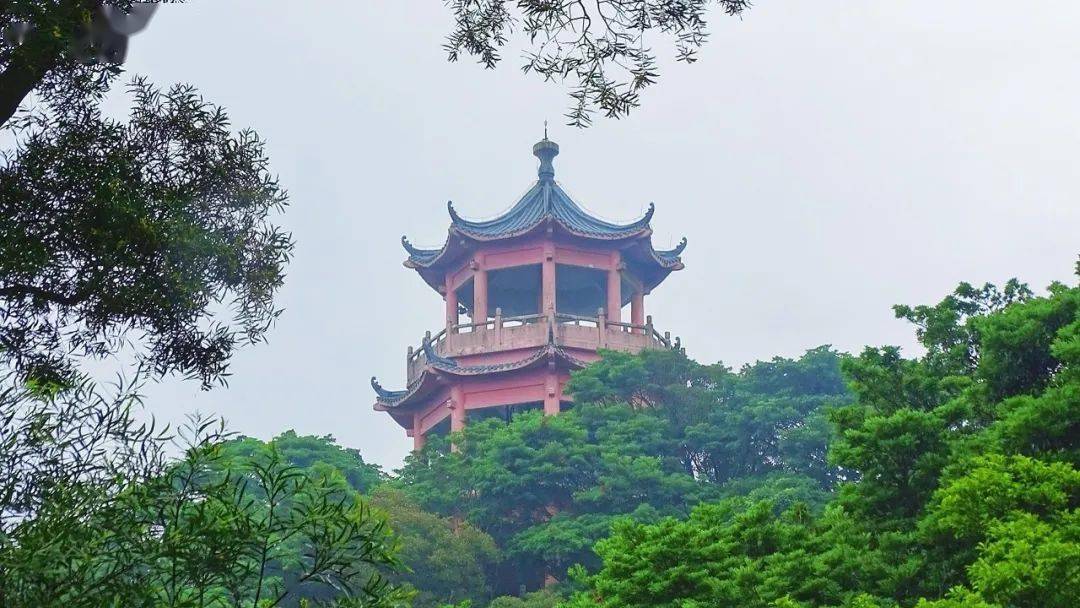 广东|藏不住了！梧桐山入选广东最美旅游目的地！3条路线赏遍美景！