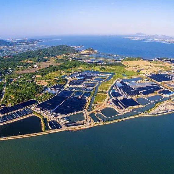 云霄:五年谋划勤深耕 聚力提升展新颜_整治_工作_农村