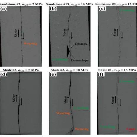 砂岩和页岩张拉裂隙剪切诱导气体渗透率对比研究获进展 实验 面的 剪切