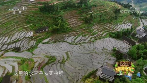 花岗岩|两千多年水流源源不绝？解锁紫鹊界梯田的神奇生态密码