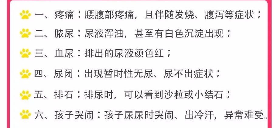 Vol|6岁男童双肾长满石头，罪魁祸首竟是妈妈！后悔死了…