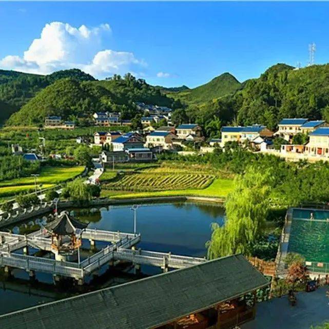 茅栗镇:“三金”分红年年涨 火红日子节节高_金山村_种植_集体经济