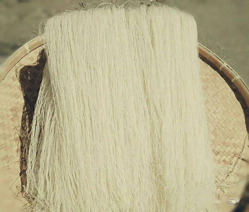 三门爱吃的特色面碗碗有名堂你的心头好是哪款