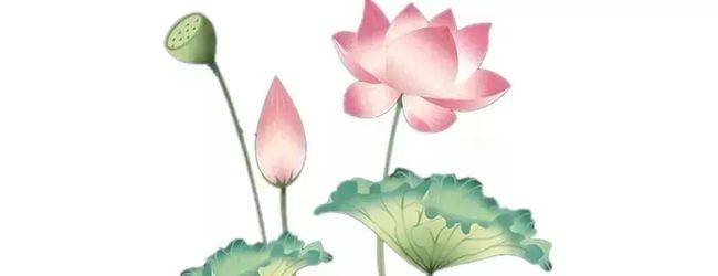 突发疾病的山东援鄂医疗队员张静静去世丈夫援非未能赶回—张静静死因
