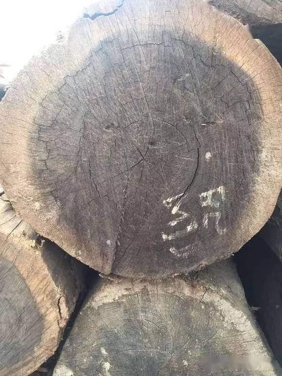非洲酸枝红贵宝东非酸枝沉贵宝是什么木头是红木吗