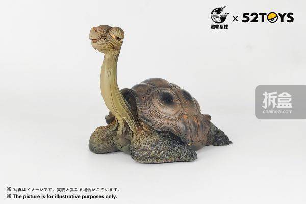 加拉帕戈斯动物星球 52TOYS 歇会儿2 加拉帕戈斯象龟 仿真动物模型