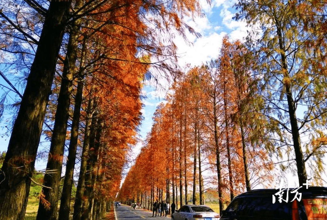 活动|冬日微醺暖意，从乐昌誉马葡萄酒文化旅游节开始