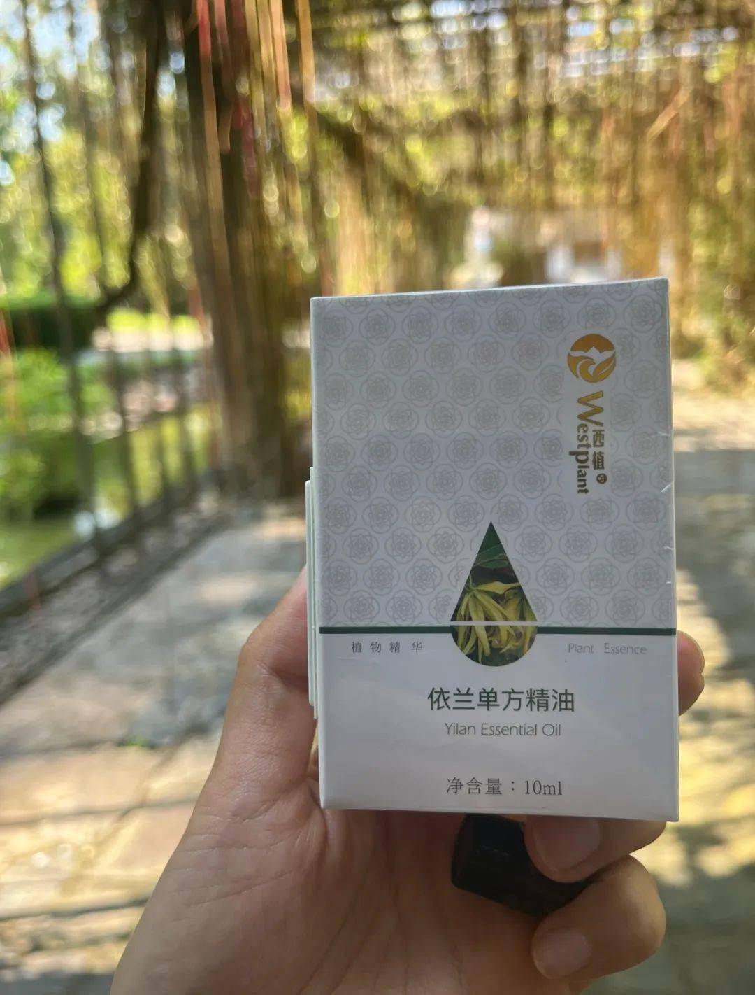 我在西双版纳艺术游学,学会了临在,活在了光里_cheer_感觉_旅行