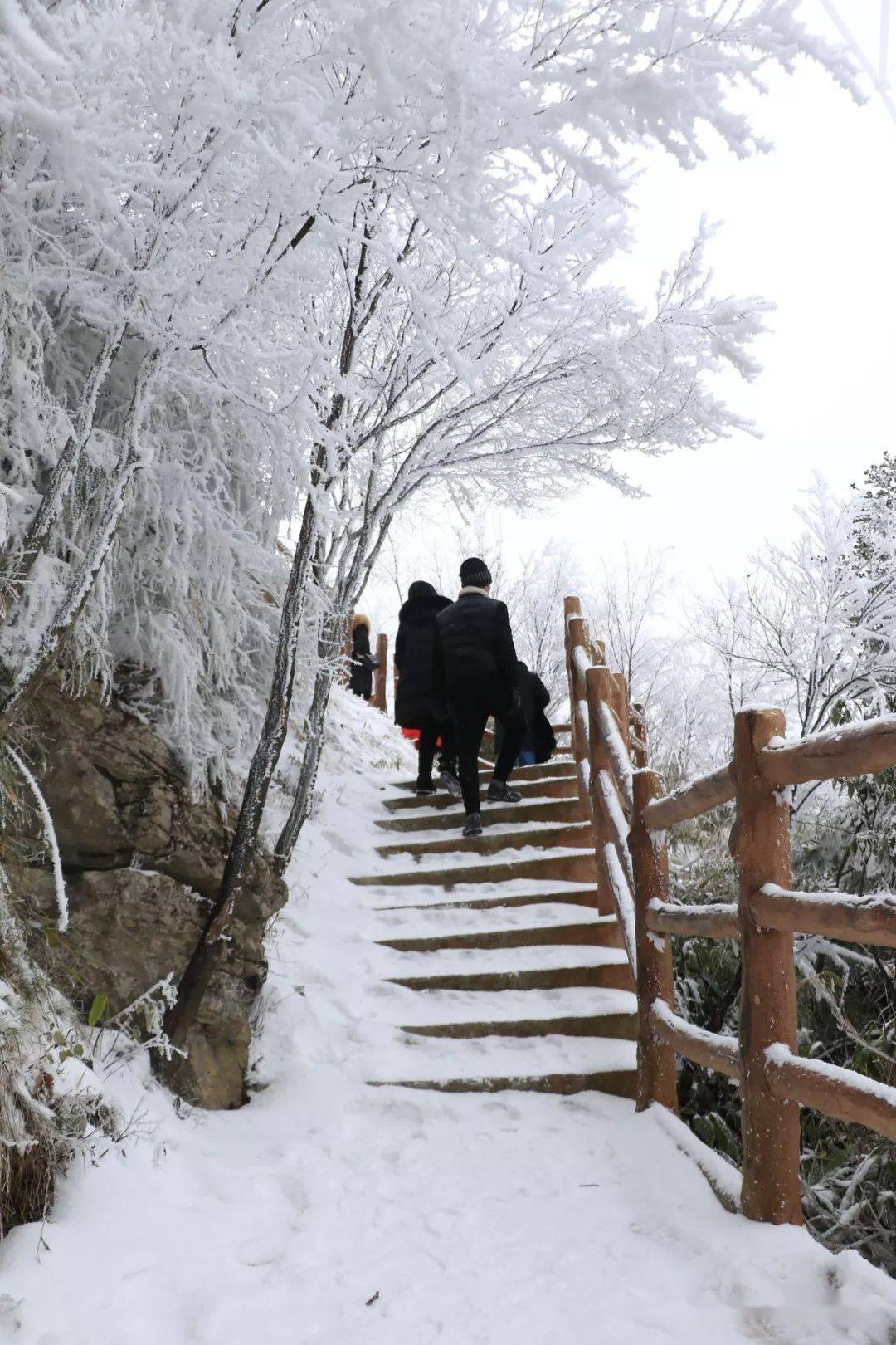 下雪了,下大雪了,今天八台山一片银白,如梦如幻!
