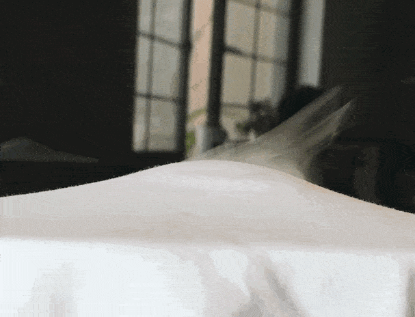 面料为什么五星级酒店的枕头总是那么舒服？｜A 口袋