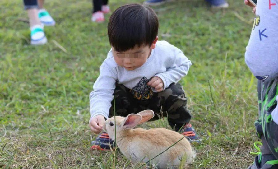 【商家名称】深圳菜博士