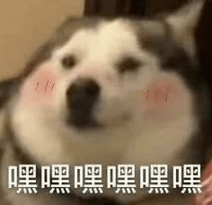 1df886839e2249f2a69a4c0bde68f6dd.png