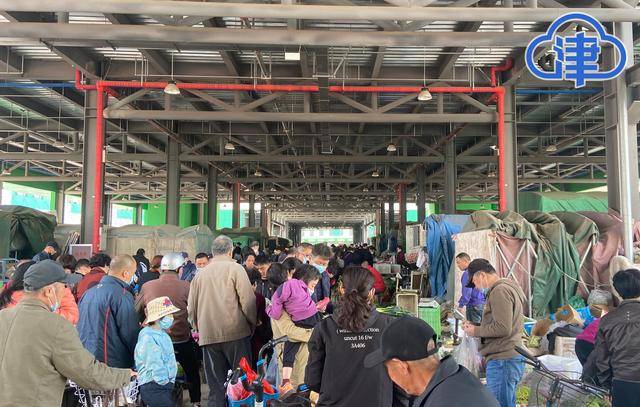 何莊子批發市場人氣足 海鮮水產售賣火爆_農產品_生意_零售