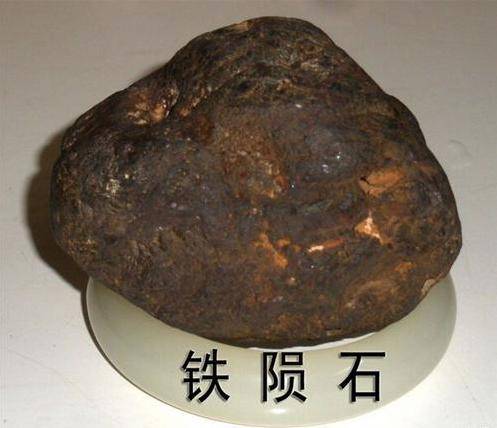 外星生物化石陨石图片