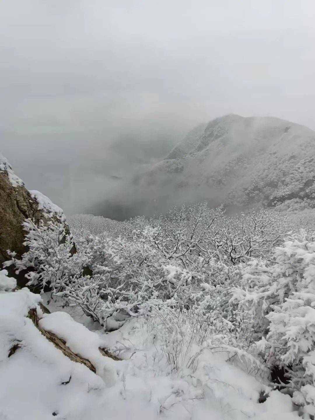 如在梦中行人在雪中走都是诗意之旅与雪的每一次相遇风就有了冬天的