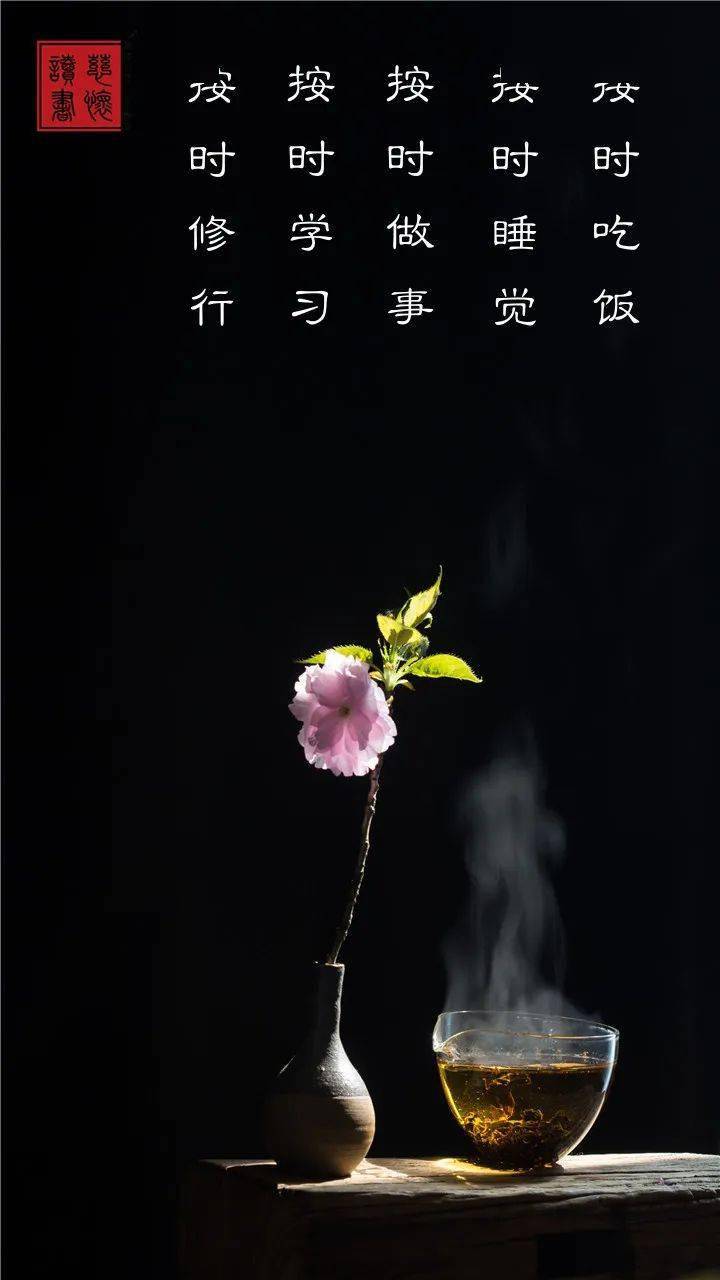 一念禅按时吃饭按时睡觉