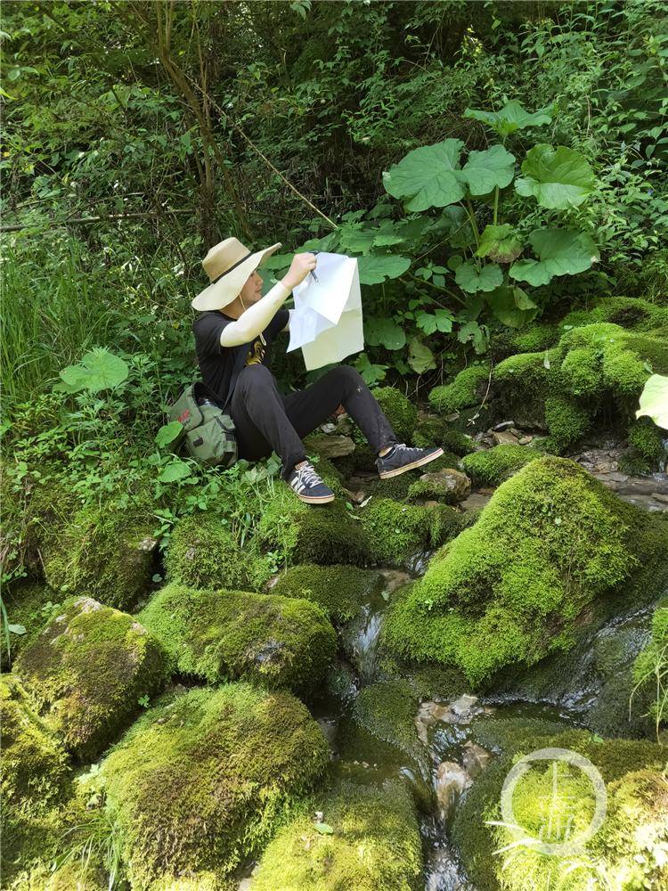 地质调查人员的日常 雨天不上山 遇见野猪赶紧跑bob官方下载链接(图5)