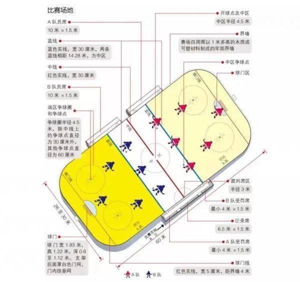 中国|这项冬奥运动项目，竟然允许打架？