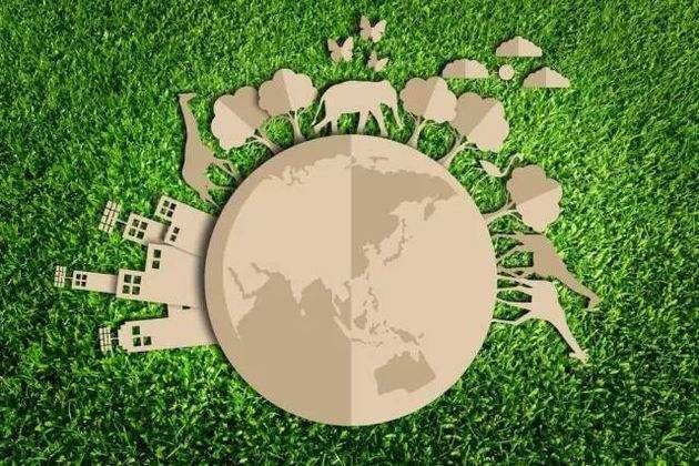 情感始源假想论 篇外章 生物史程幻想曲之文化终归流 物种 文明 限制