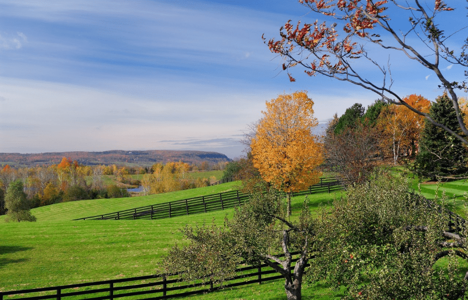 带你走进加拿大安大叔西洋参的农场生活