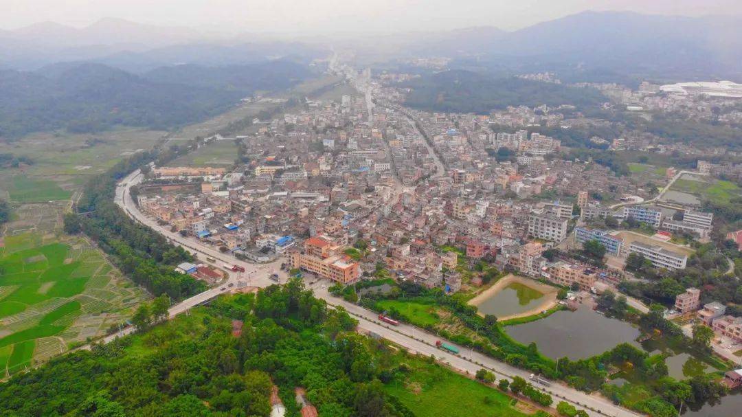 镇委书记在干啥96新兴县稔村镇以书记项目为抓手加快新旧动能转换