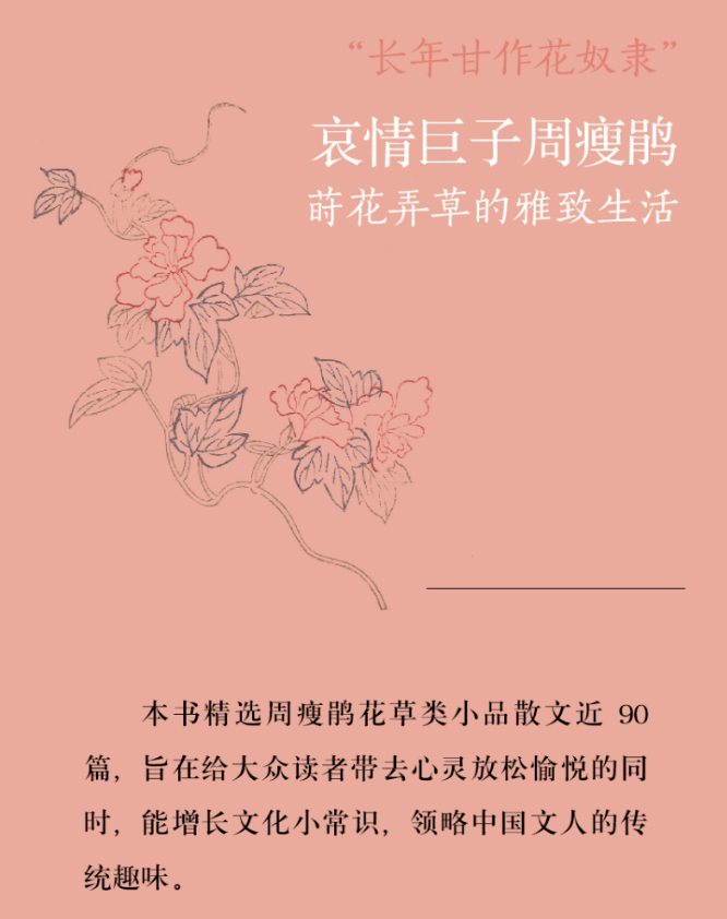 文化|《花花草草》| 从“鹤鸣鸡群”到“长年甘作花奴隶”：哀情巨子周瘦鹃的草木之心