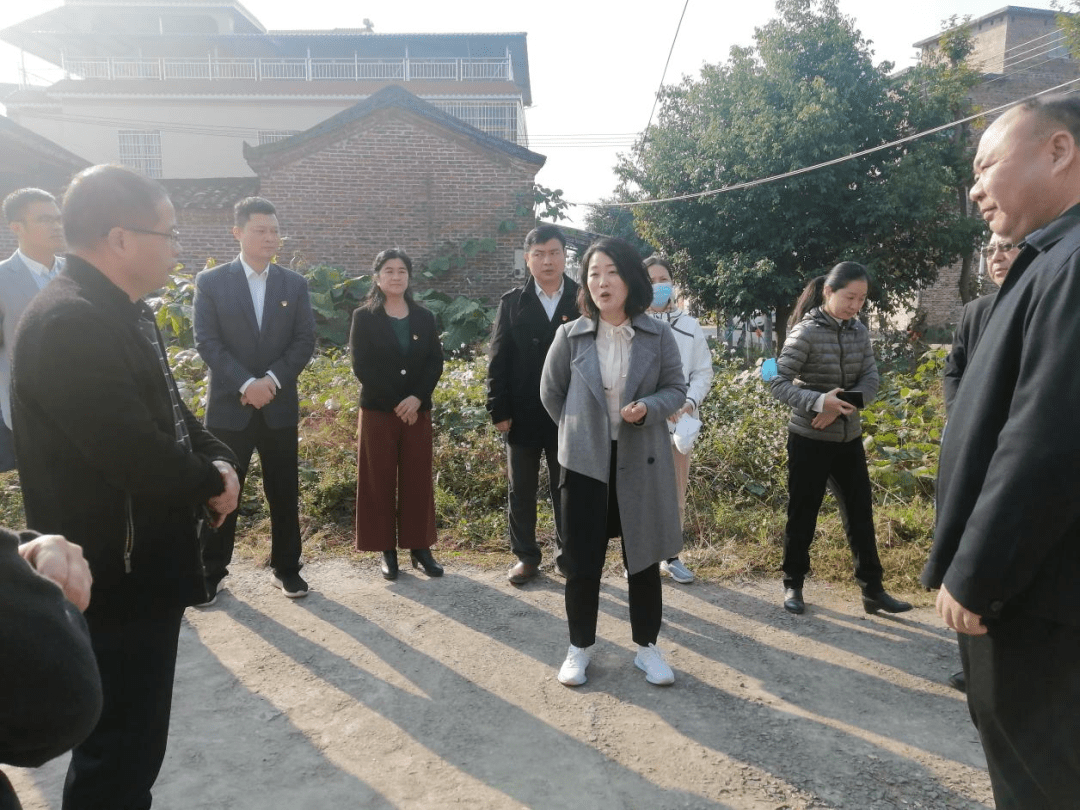 柳琛子一行到桂头镇调研乡村振兴工作