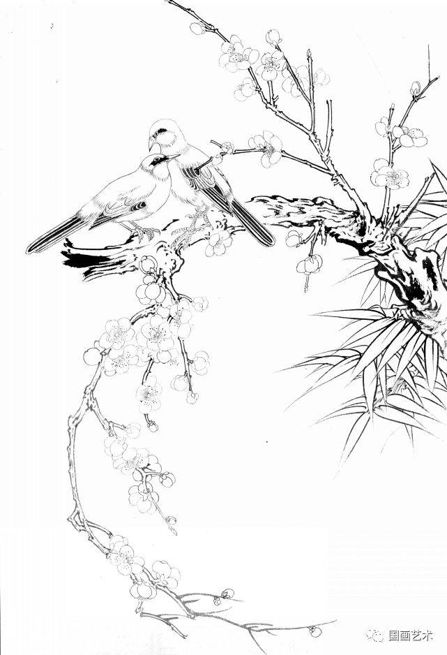 梅花小鸟白描画稿好美