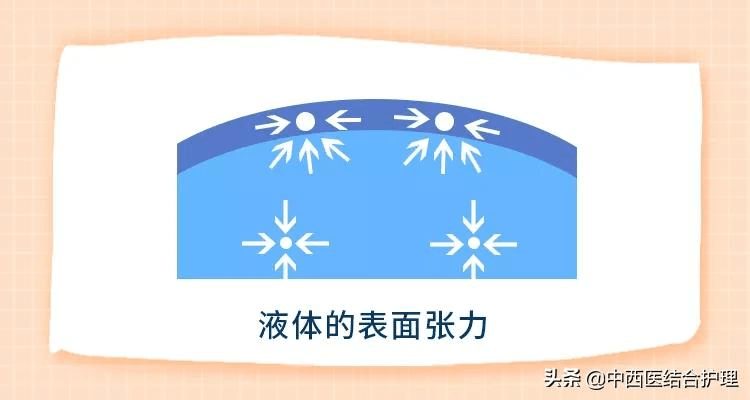 尿液_气泡_表面张力