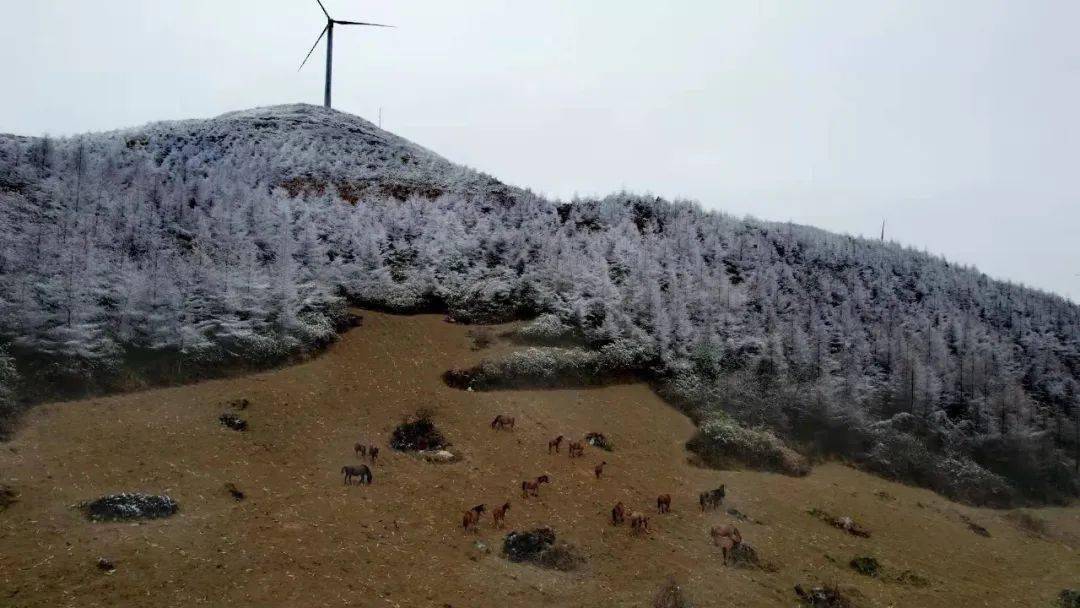 利川降雪了接下来几天的天气是