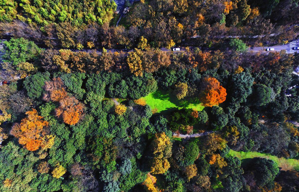 金华企业排行_2021浙江民营企业100强:杭州包揽前二,湖州、金华各5家