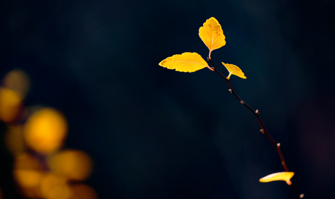 角落|“郑”在心动，这样的冬日美景，你见过吗？