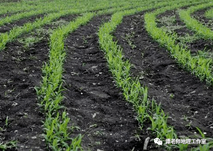 【地理热点】关于火山,火山爆发,火山灰的地理小知识合集