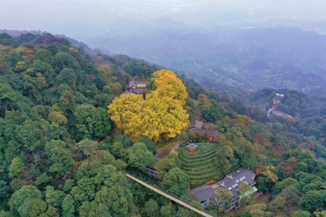 景区提质增效 游客纷至沓来_旅游_蒙顶山_孟获城