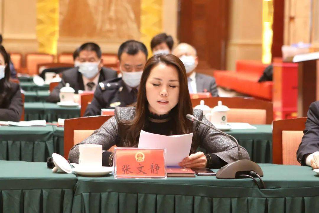 【聚焦·两会】区人大代表审议区人民政府工作报告