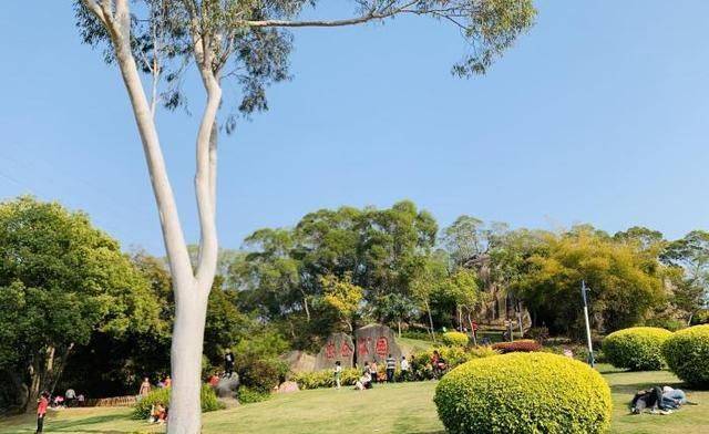 廈門市區大型公園還有兒童遊樂區成為網紅打卡地