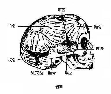 嬰幼兒腦積水臨床特徵_頭顱_患兒_進行性