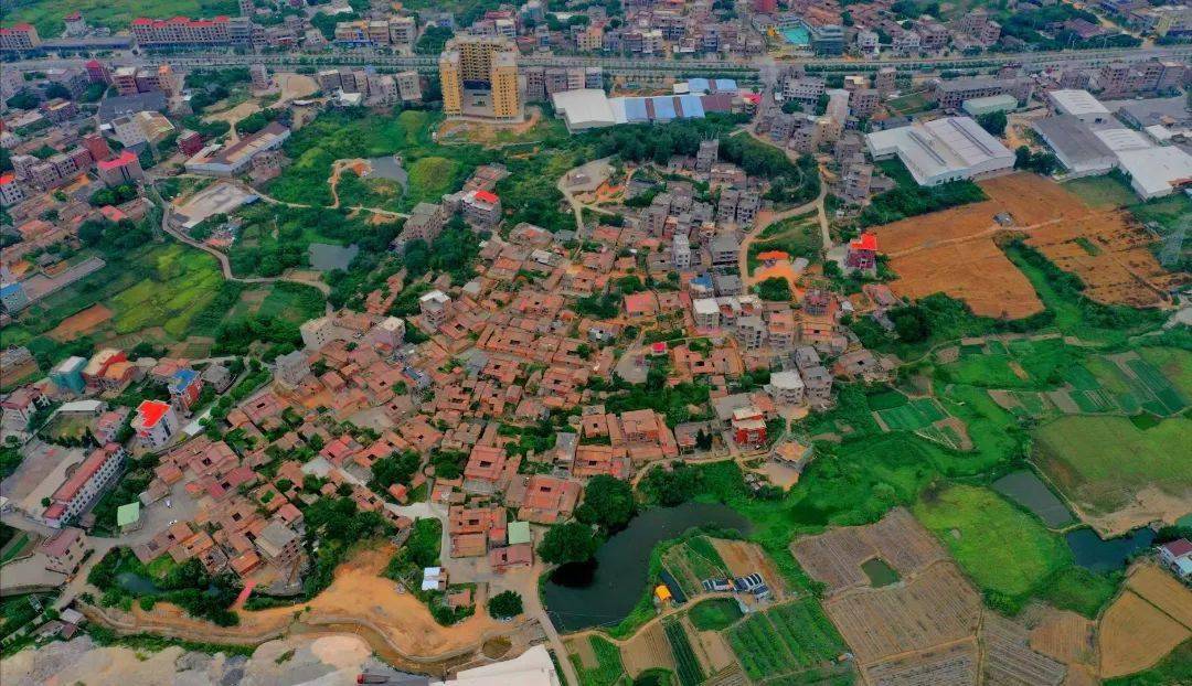 新圩村改善农村人居环境加快建设美丽乡村