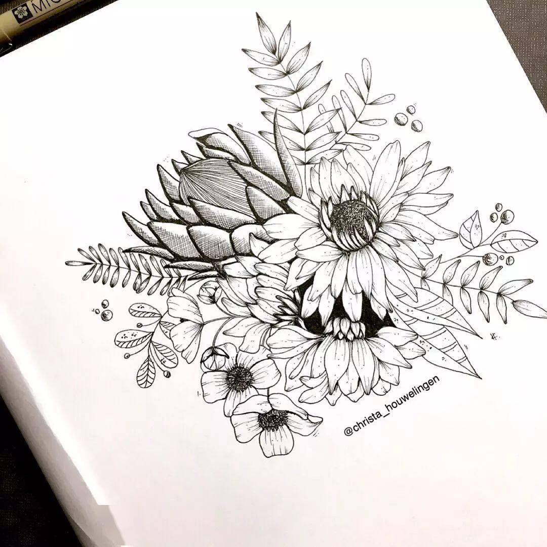 零基础线描花卉教程,锻炼线条能力,果断收藏!_叶子_轮廓_关系